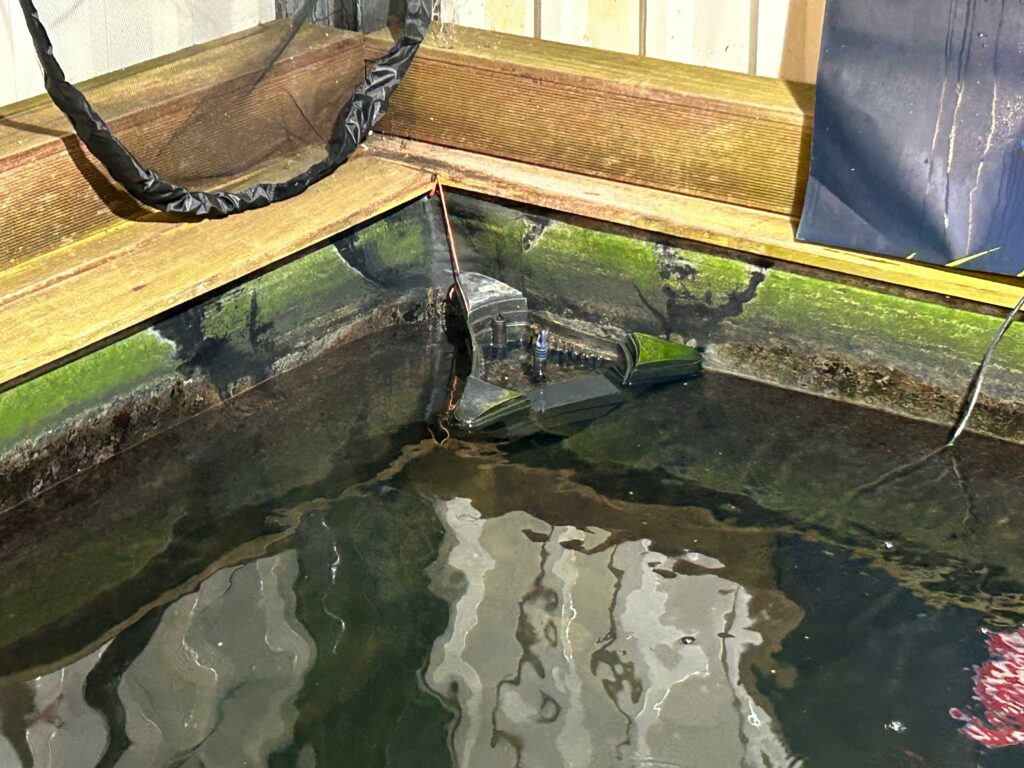 bassin-interieur-eau-verte-pompe-filtration-nettoyage