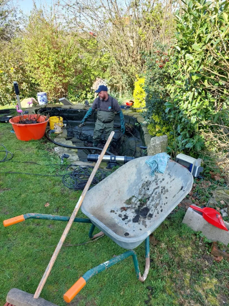 mon etang est plein de vase: que faire?