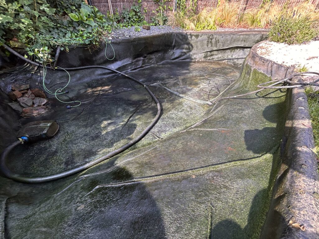 bassin-vide-algues-parois-pompe-nettoyage-professionnel