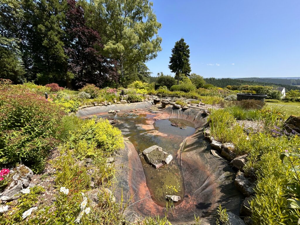 etang-liner-visible-entretien-renovation-belgique