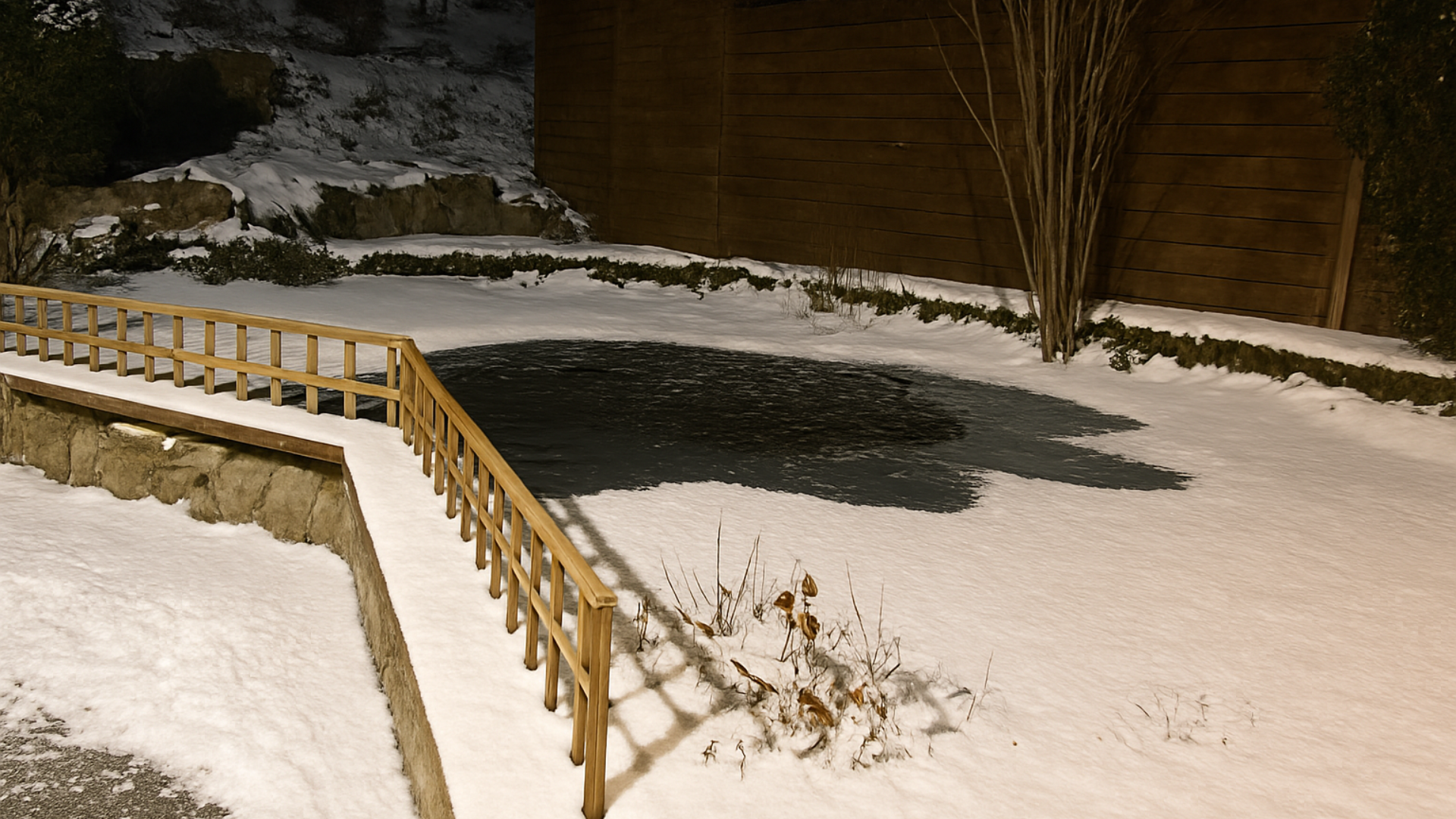 etang en plein hiver