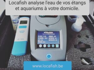 redemarrage etang pritemps