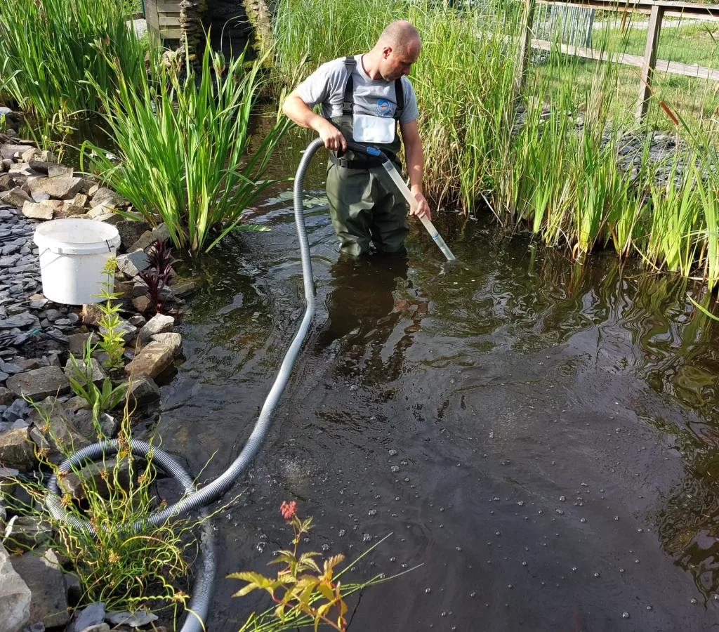 entretien de votre etang